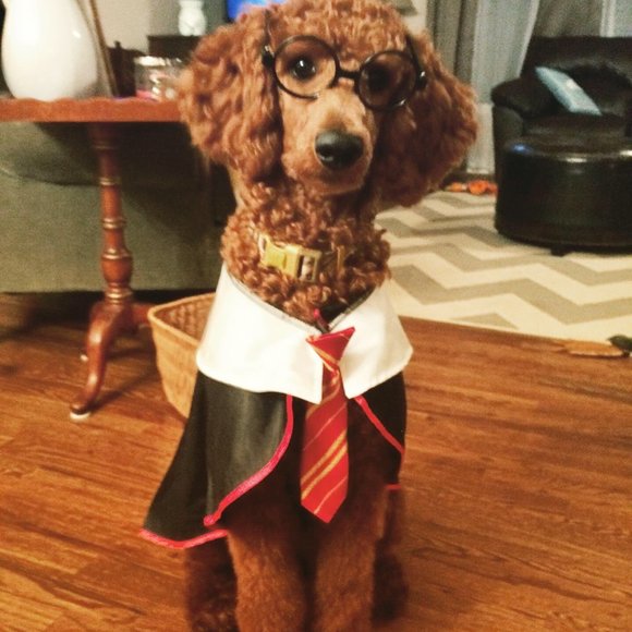 Meet the Posher, Hurst - Picture 2 of 3